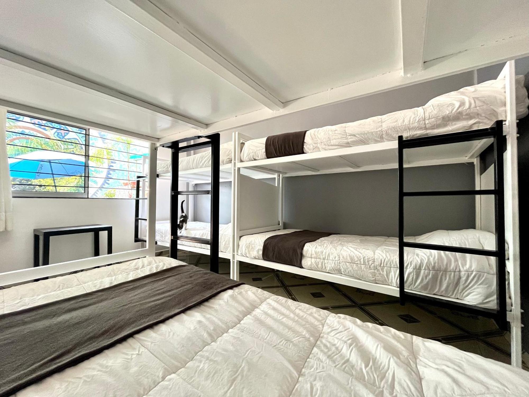 Alto Hostel Meksyk Zewnętrze zdjęcie